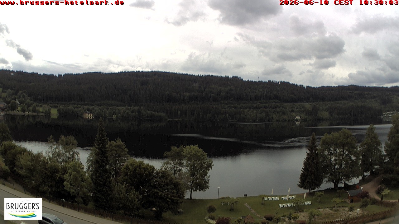 Archived image Webcam Titisee (Black Forest)