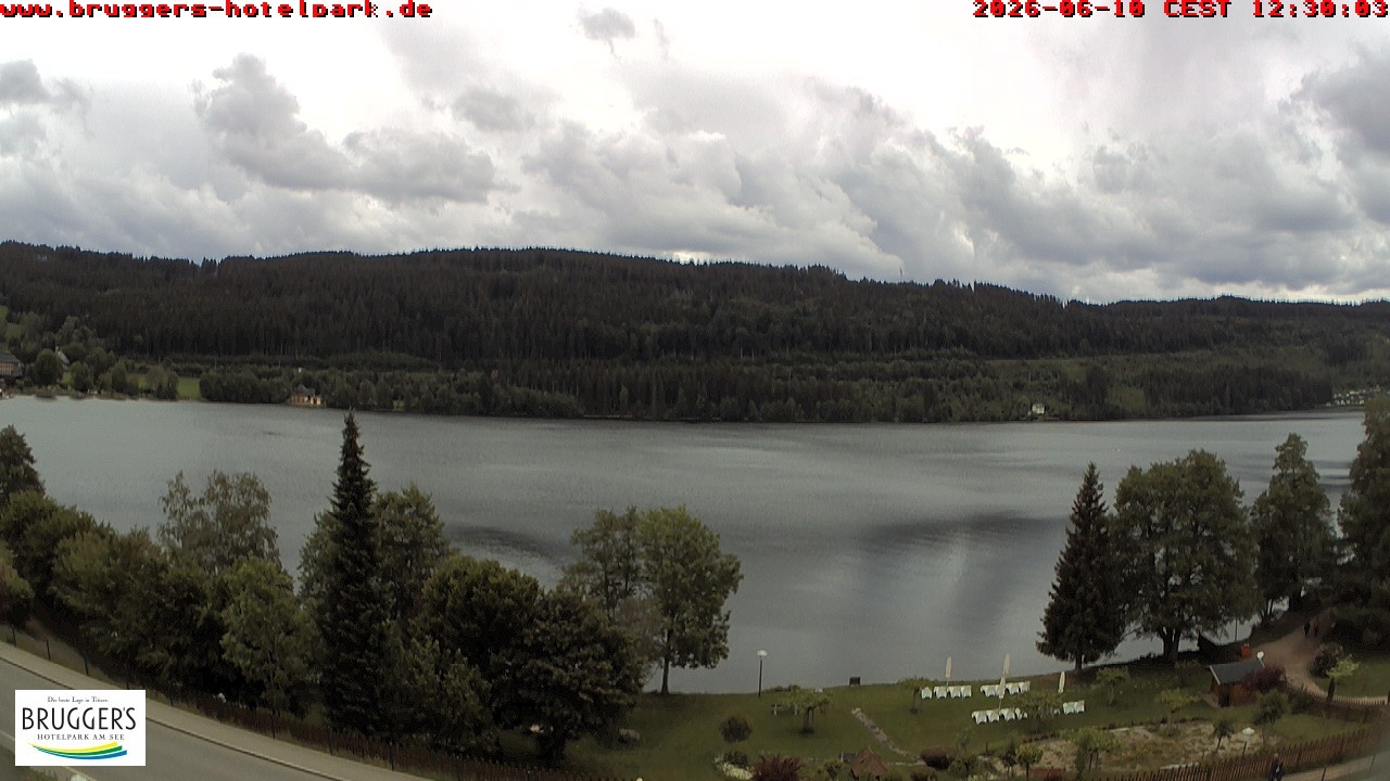 Archived image Webcam Titisee (Black Forest)