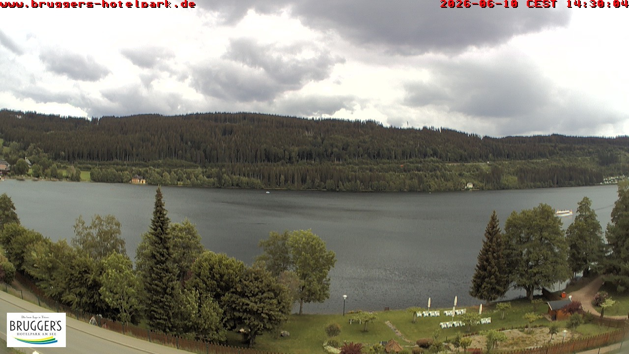 Archived image Webcam Titisee (Black Forest)