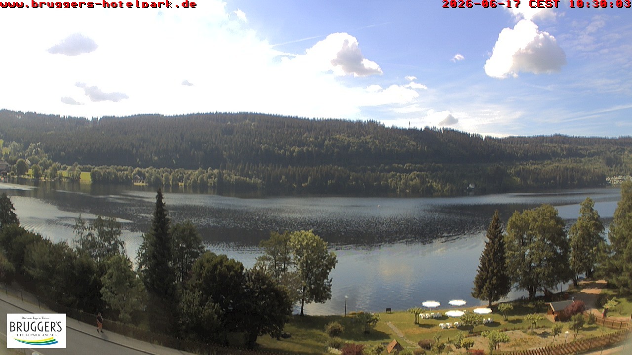 Archiv Foto Webcam Titisee im Schwarzwald