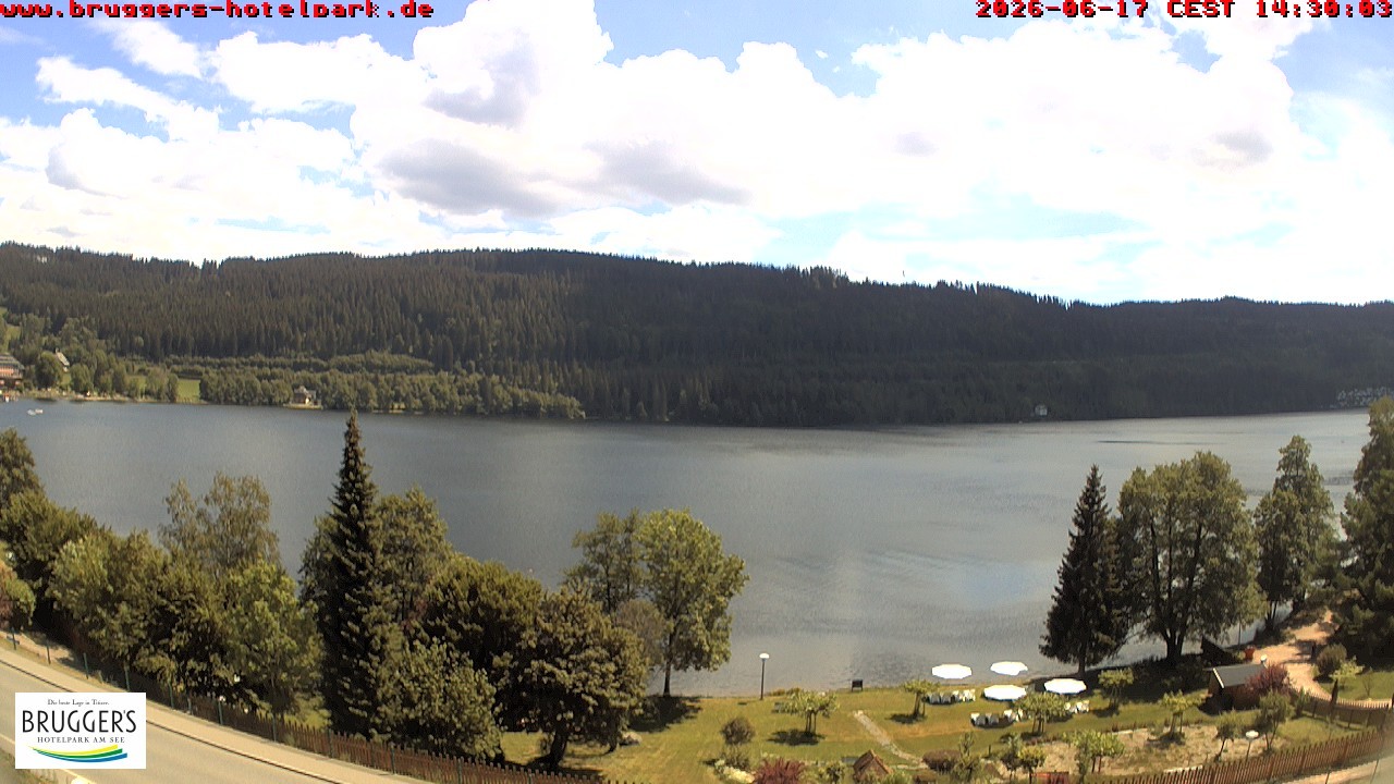 Archiv Foto Webcam Titisee im Schwarzwald