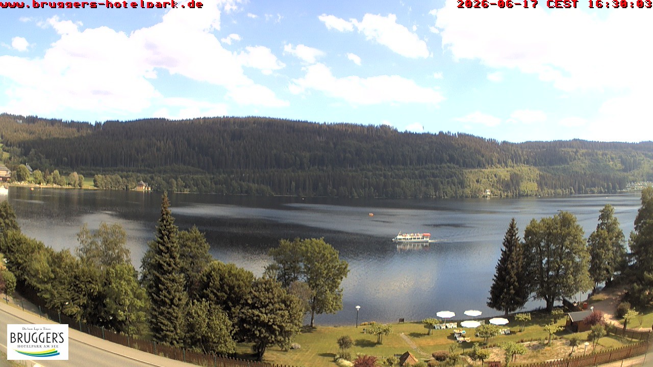Archived image Webcam Titisee (Black Forest)