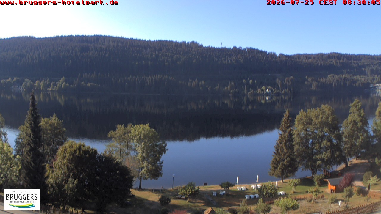 Archived image Webcam Titisee (Black Forest)