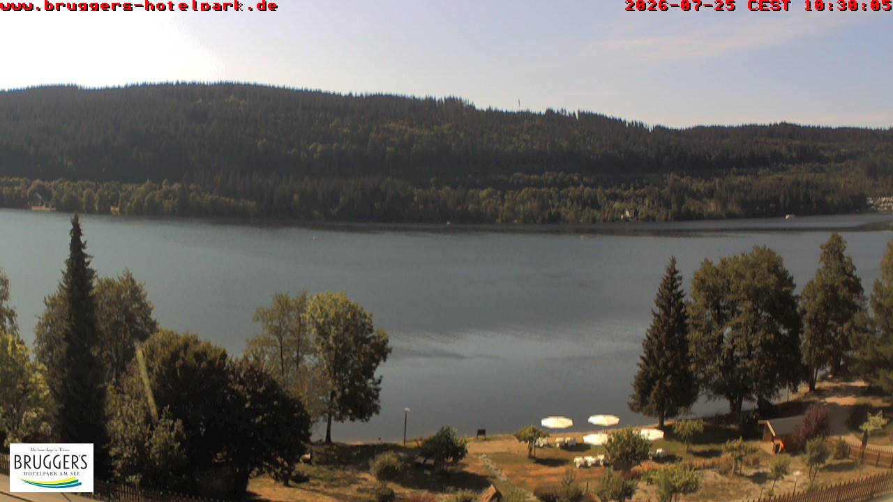 Archived image Webcam Titisee (Black Forest)