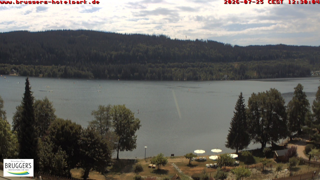 Archived image Webcam Titisee (Black Forest)