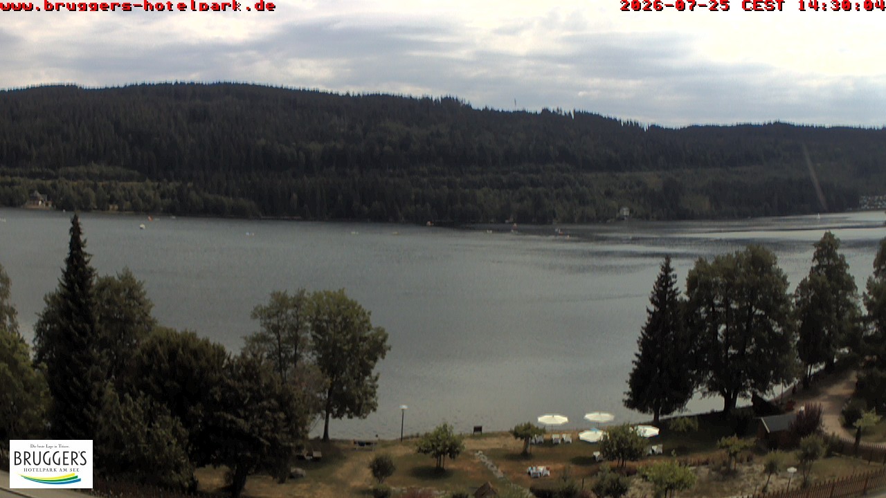 Archived image Webcam Titisee (Black Forest)