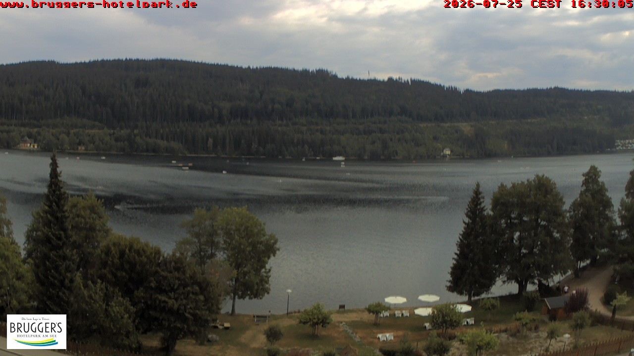 Archived image Webcam Titisee (Black Forest)