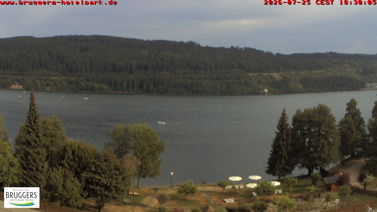 Archived image Webcam Titisee (Black Forest)