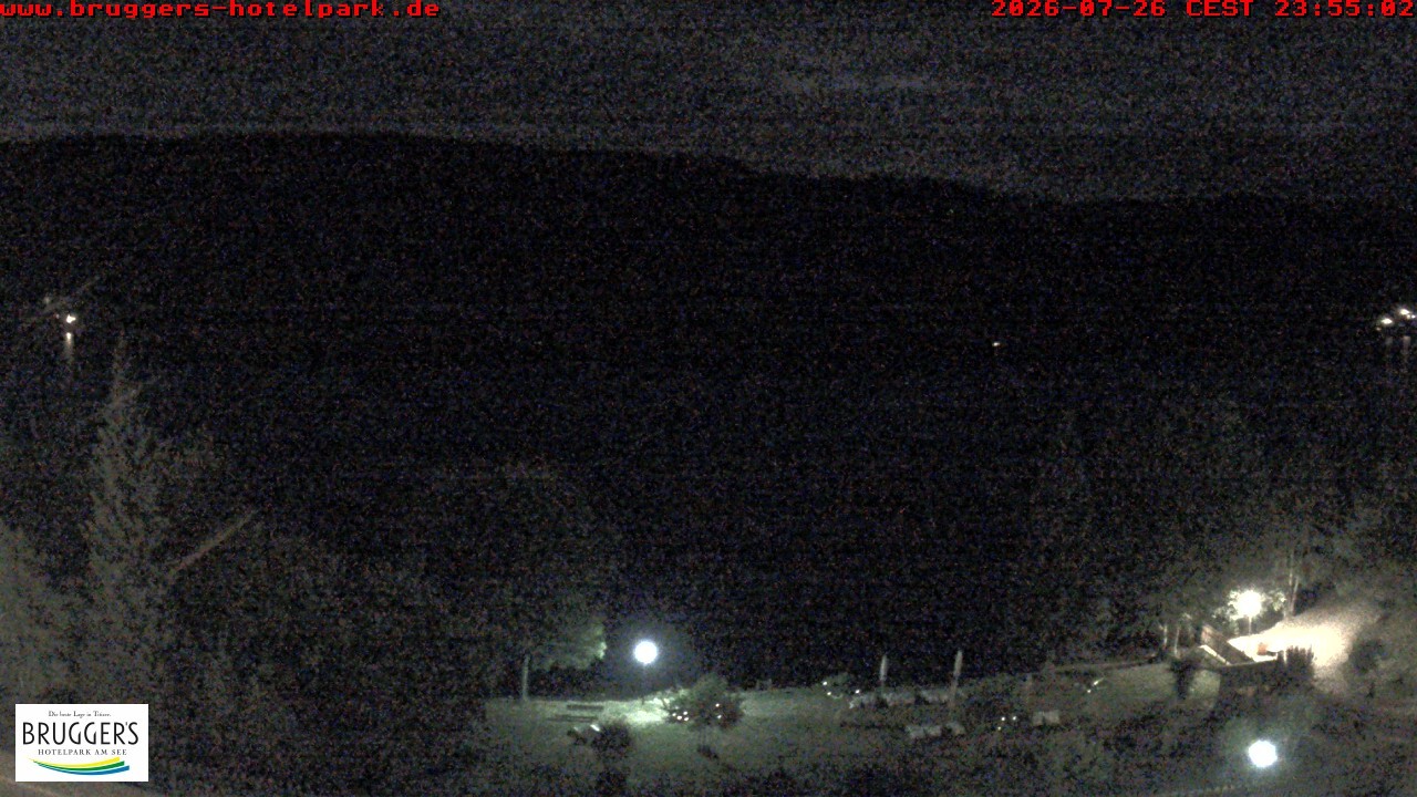Archived image Webcam Titisee (Black Forest)