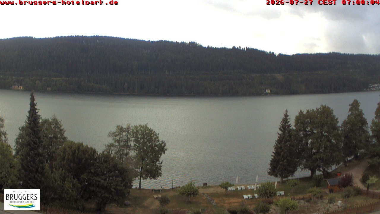 Archived image Webcam Titisee (Black Forest)