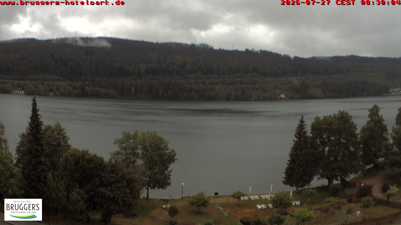 Archived image Webcam Titisee (Black Forest)