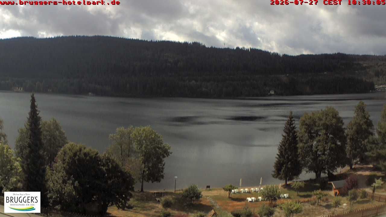 Archived image Webcam Titisee (Black Forest)