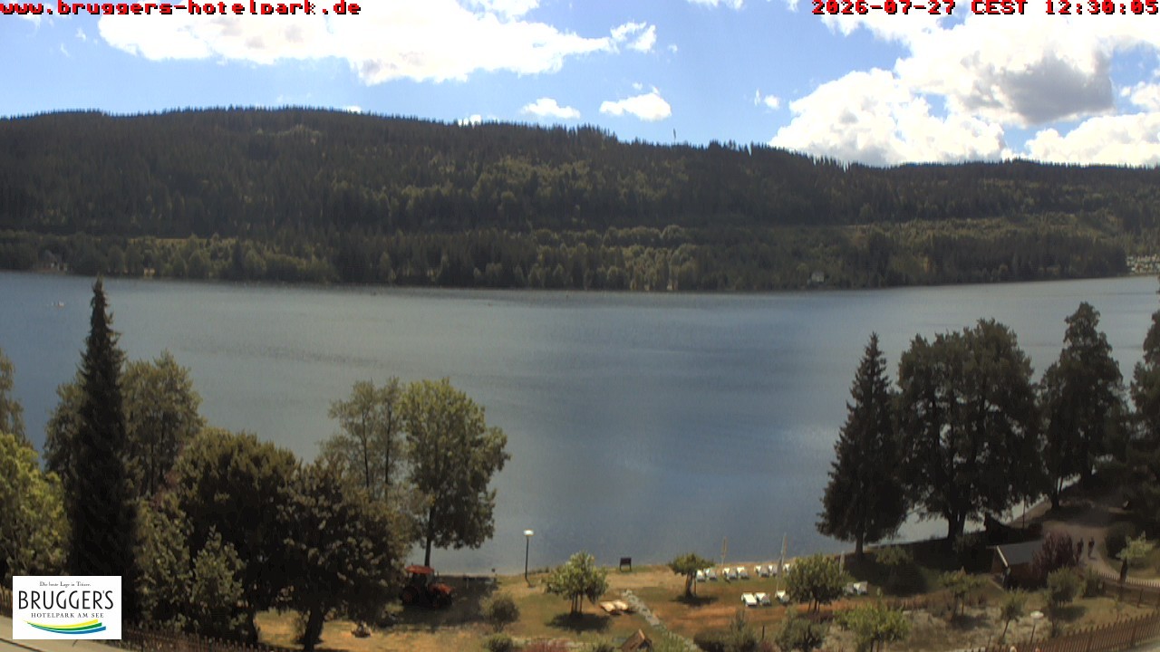 Archived image Webcam Titisee (Black Forest)