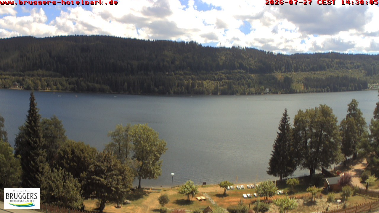 Archived image Webcam Titisee (Black Forest)