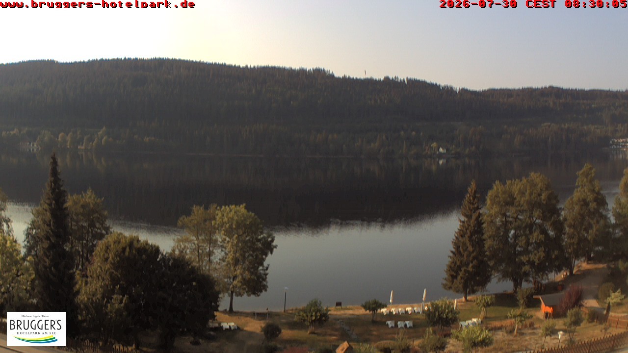 Archived image Webcam Titisee (Black Forest)