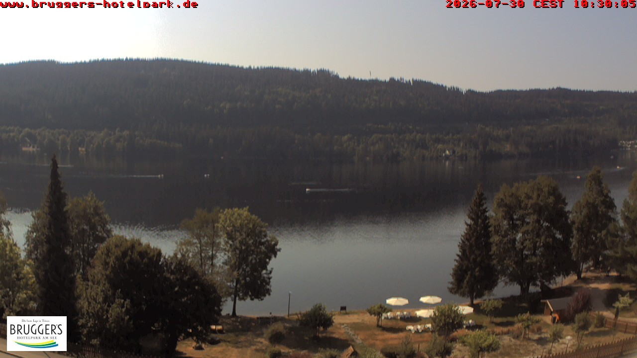 Archived image Webcam Titisee (Black Forest)