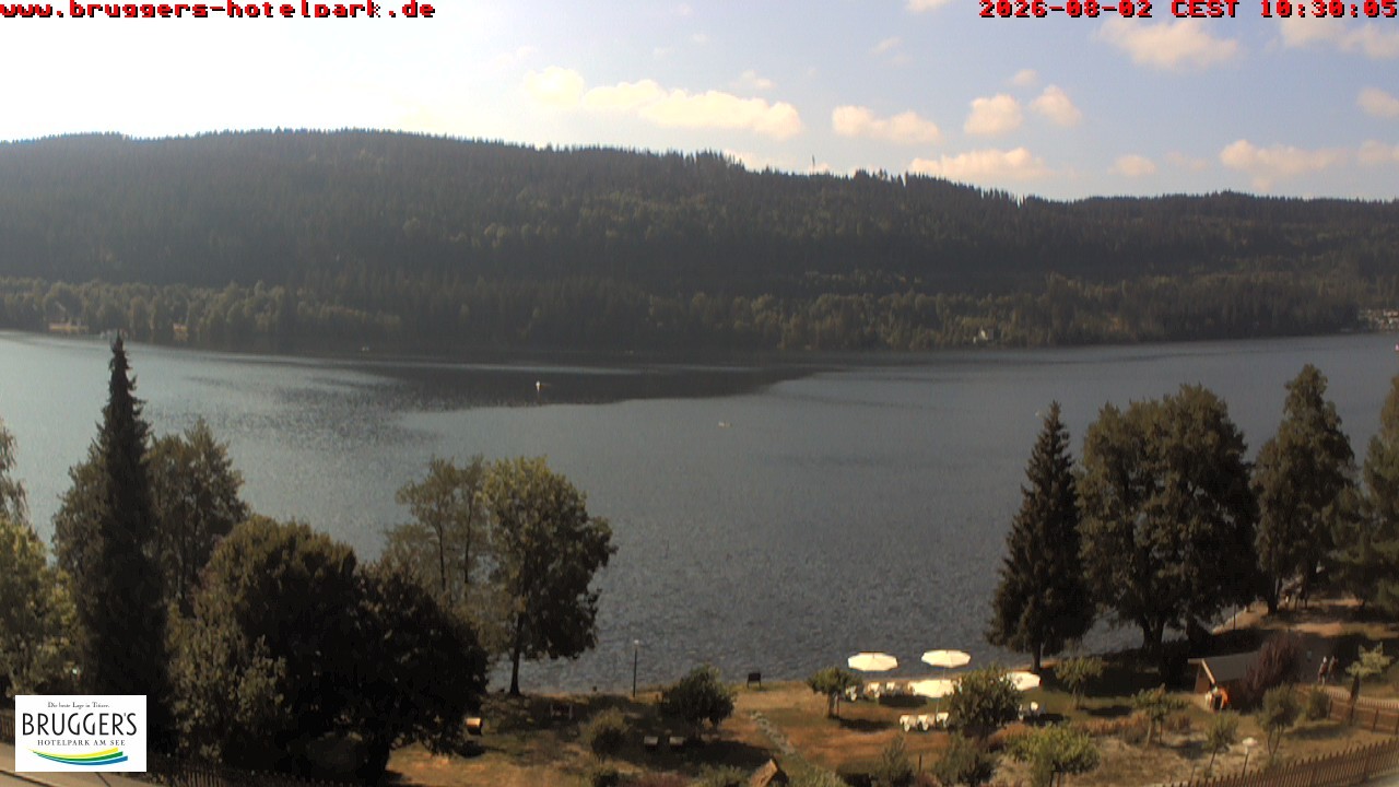 Archiv Foto Webcam Titisee im Schwarzwald