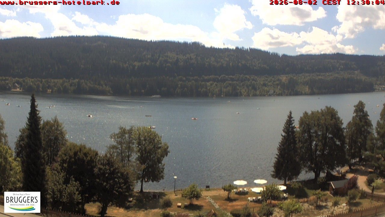 Archiv Foto Webcam Titisee im Schwarzwald