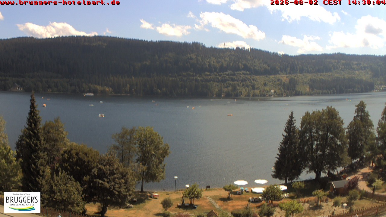 Archiv Foto Webcam Titisee im Schwarzwald