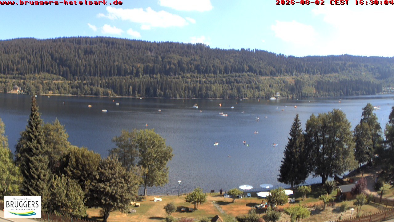 Archiv Foto Webcam Titisee im Schwarzwald