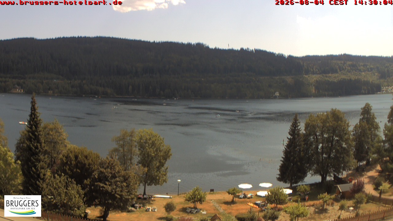 Archiv Foto Webcam Titisee im Schwarzwald