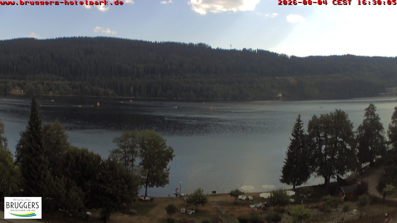 Archiv Foto Webcam Titisee im Schwarzwald