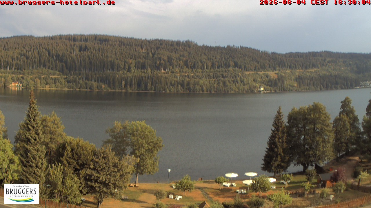 Archiv Foto Webcam Titisee im Schwarzwald