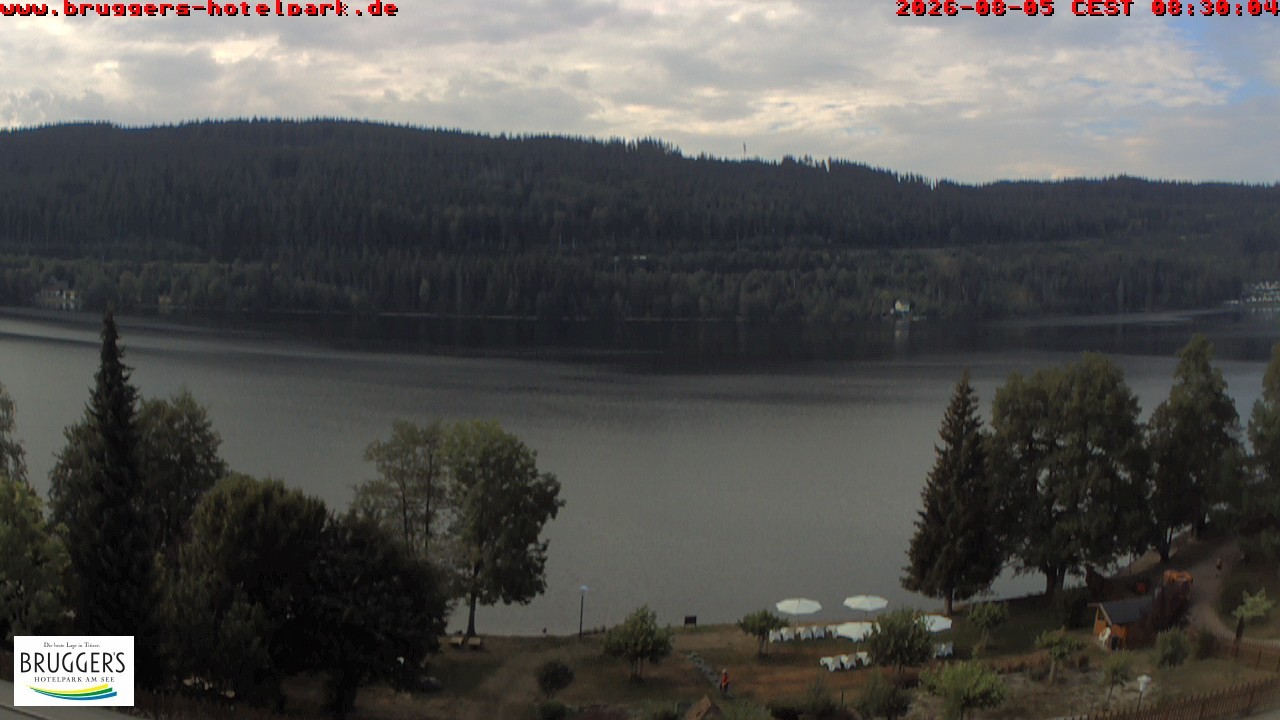 Archiv Foto Webcam Titisee im Schwarzwald