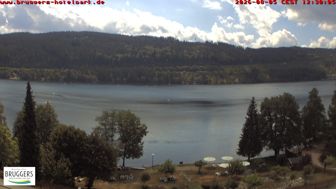 Archiv Foto Webcam Titisee im Schwarzwald