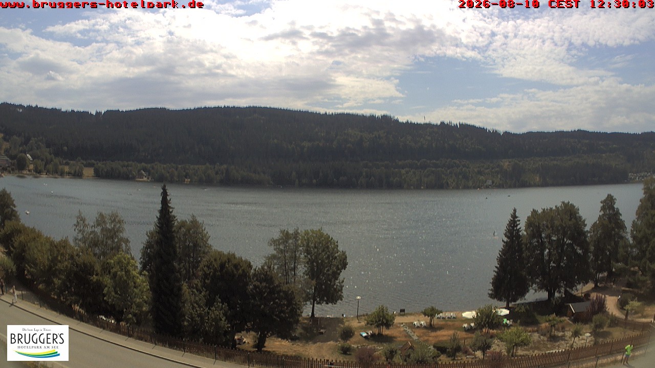 Archiv Foto Webcam Titisee im Schwarzwald