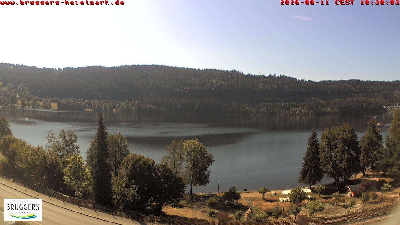 Archiv Foto Webcam Titisee im Schwarzwald