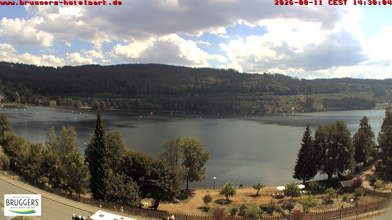 Archiv Foto Webcam Titisee im Schwarzwald