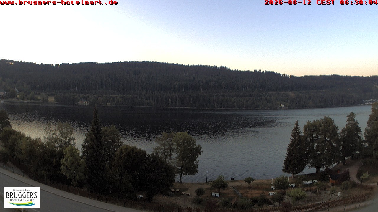 Archiv Foto Webcam Titisee im Schwarzwald