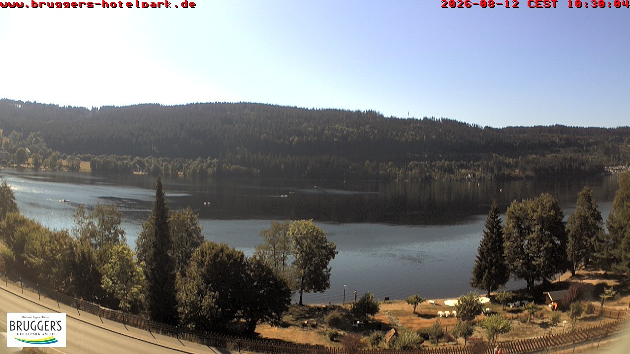 Archiv Foto Webcam Titisee im Schwarzwald
