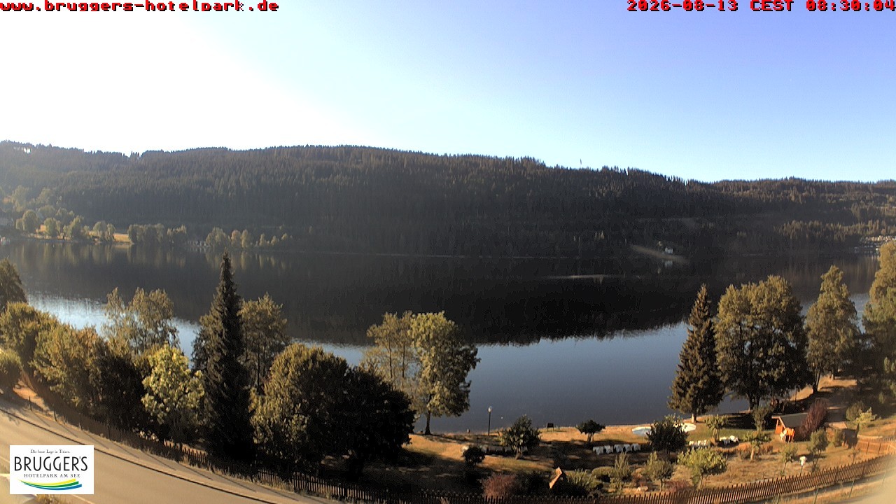 Archiv Foto Webcam Titisee im Schwarzwald