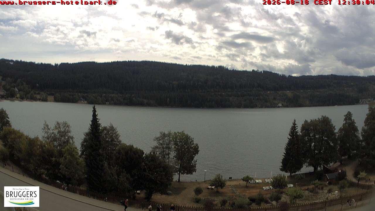 Archiv Foto Webcam Titisee im Schwarzwald
