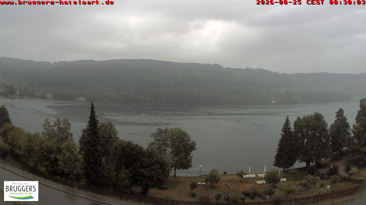 Archiv Foto Webcam Titisee im Schwarzwald