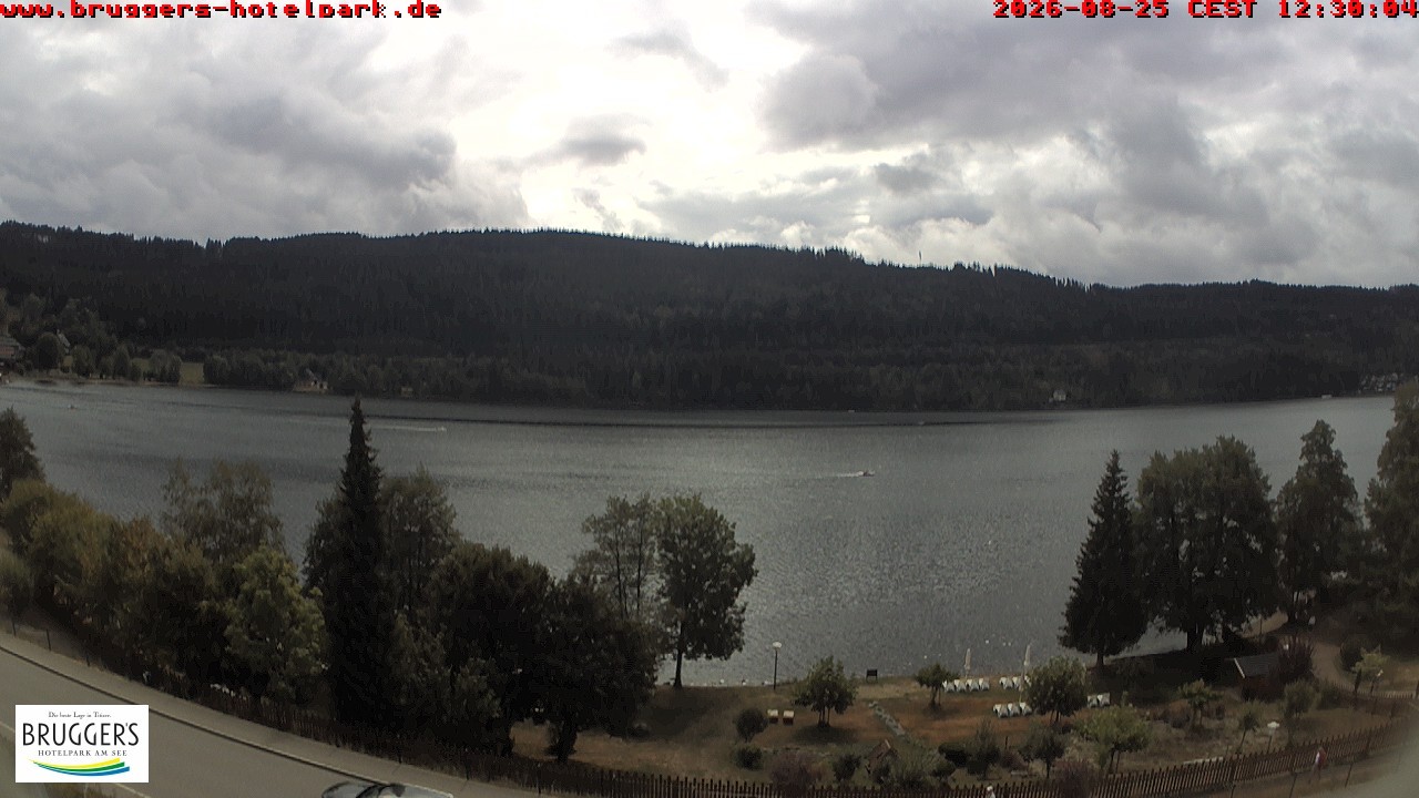 Archiv Foto Webcam Titisee im Schwarzwald