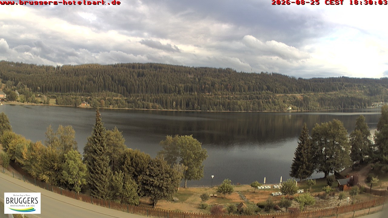 Archived image Webcam Titisee (Black Forest)