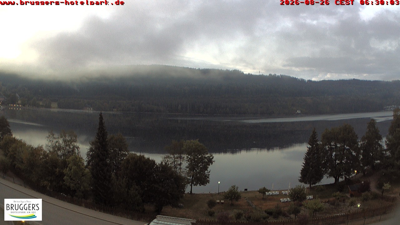 Archived image Webcam Titisee (Black Forest)