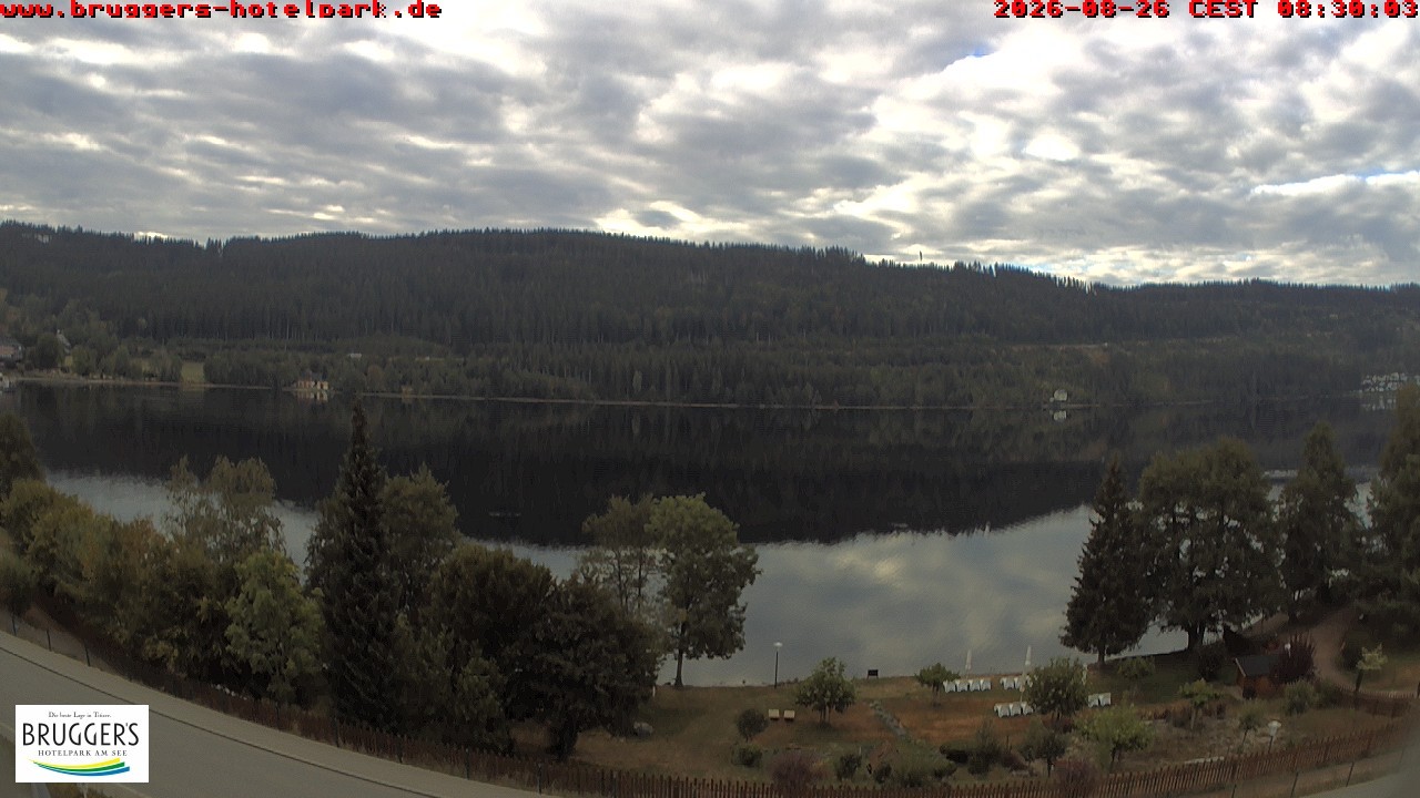 Archived image Webcam Titisee (Black Forest)