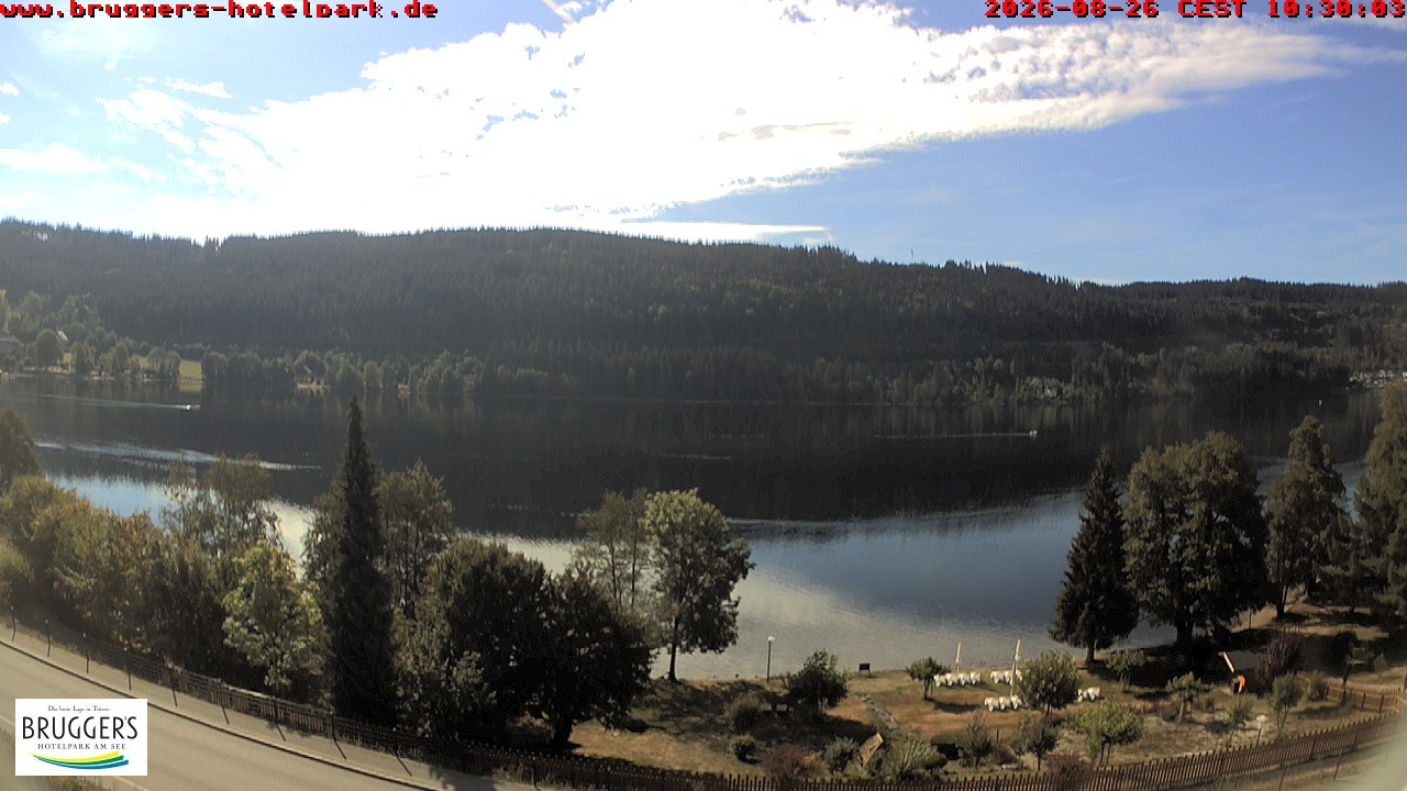 Archived image Webcam Titisee (Black Forest)