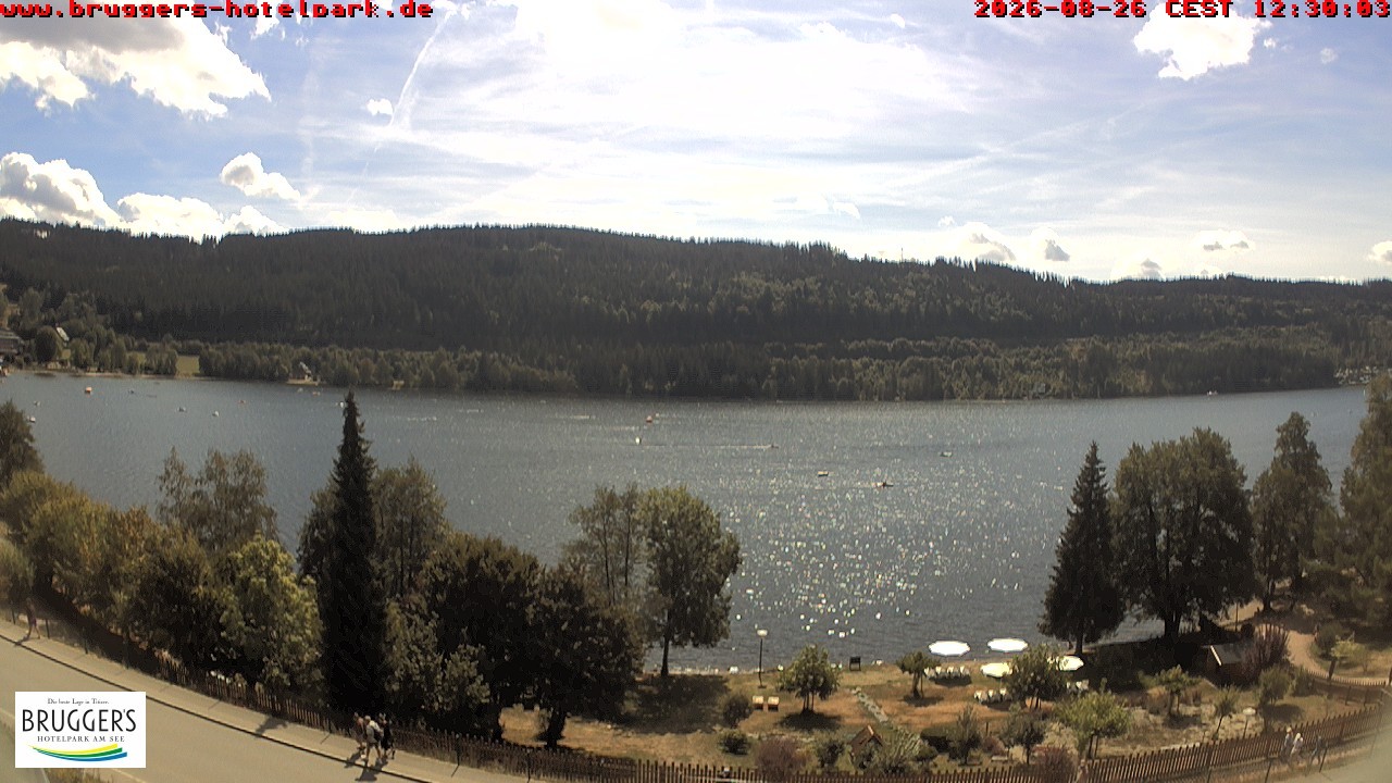 Archived image Webcam Titisee (Black Forest)