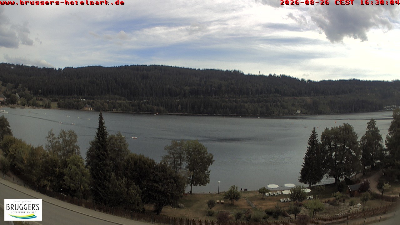 Archived image Webcam Titisee (Black Forest)