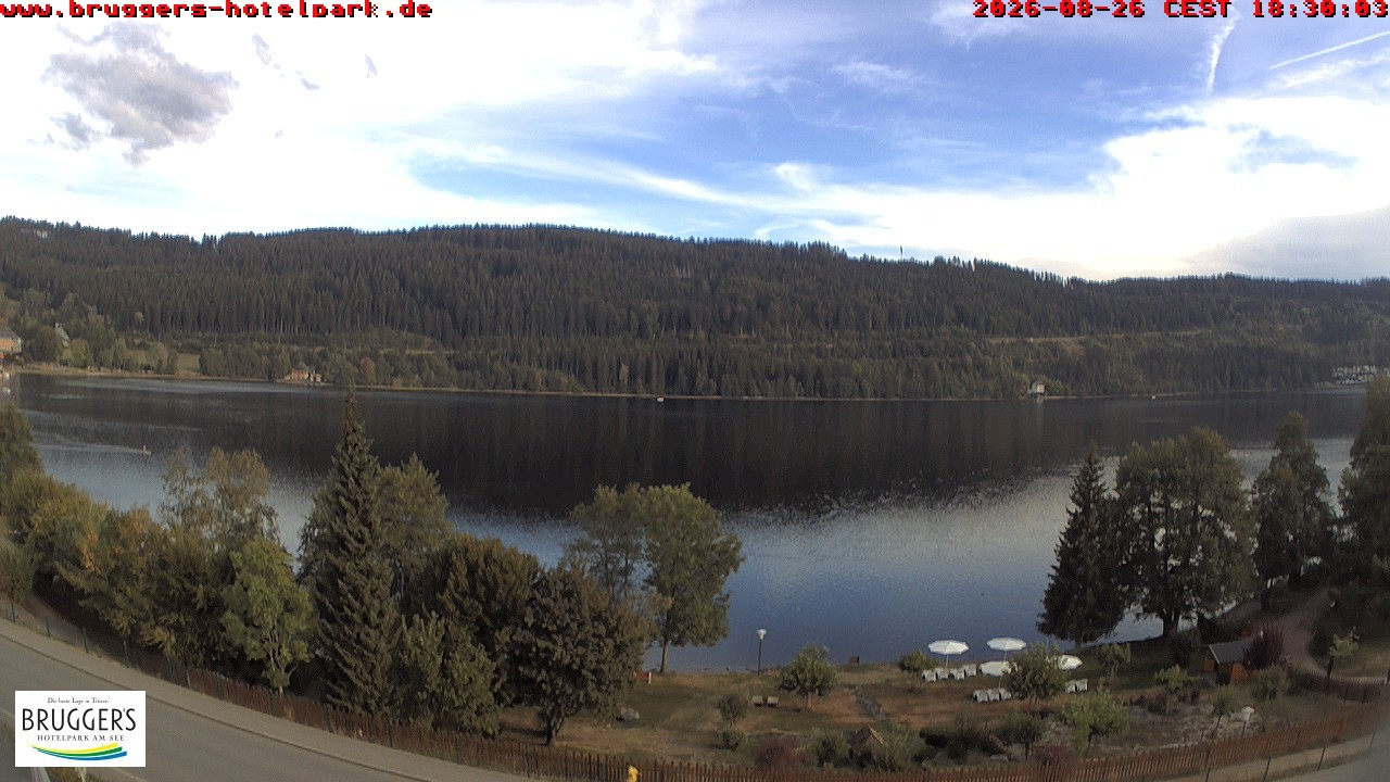 Archived image Webcam Titisee (Black Forest)