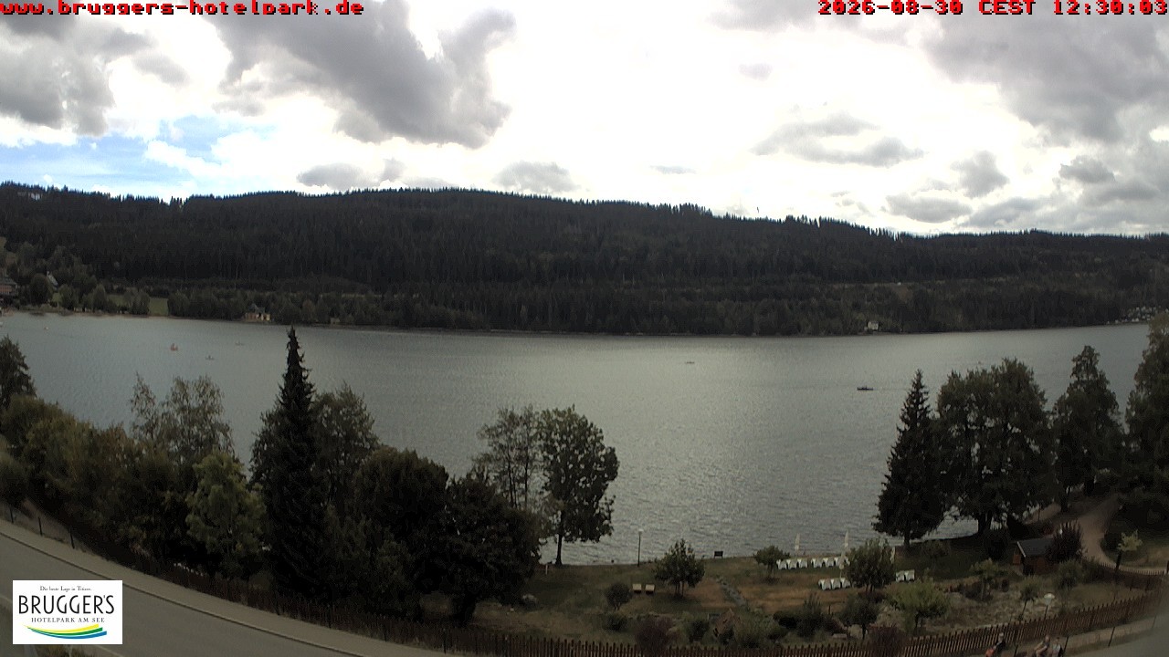 Archiv Foto Webcam Titisee im Schwarzwald