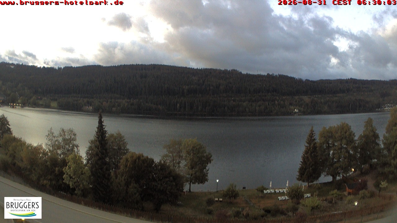 Archived image Webcam Titisee (Black Forest)