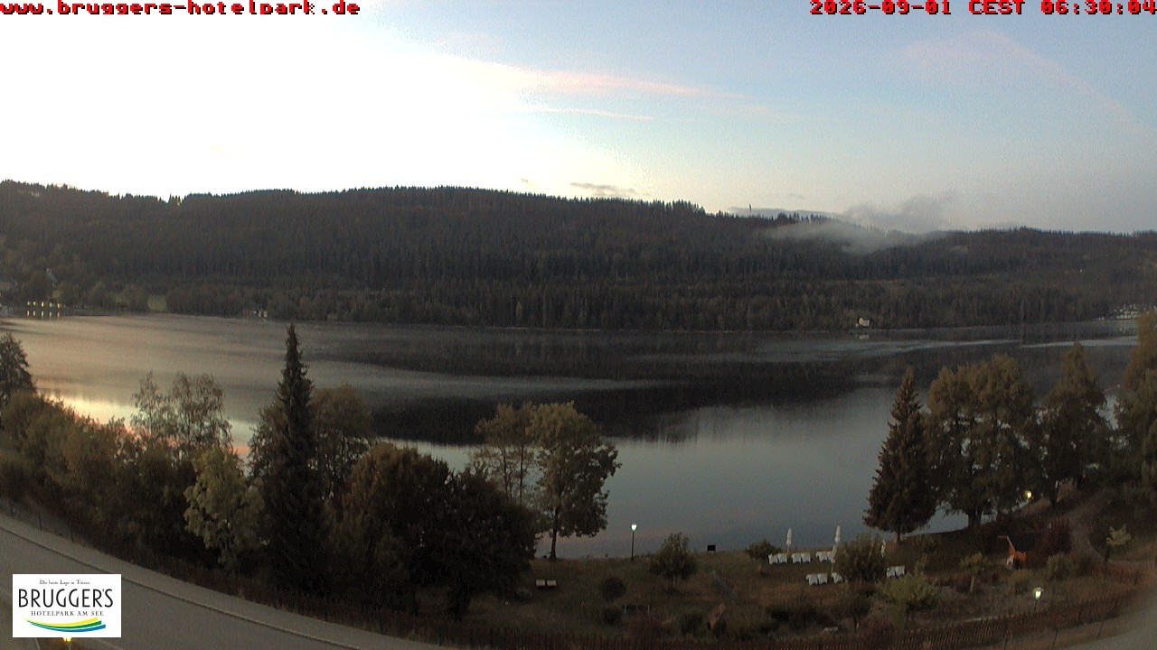 Archived image Webcam Titisee (Black Forest)