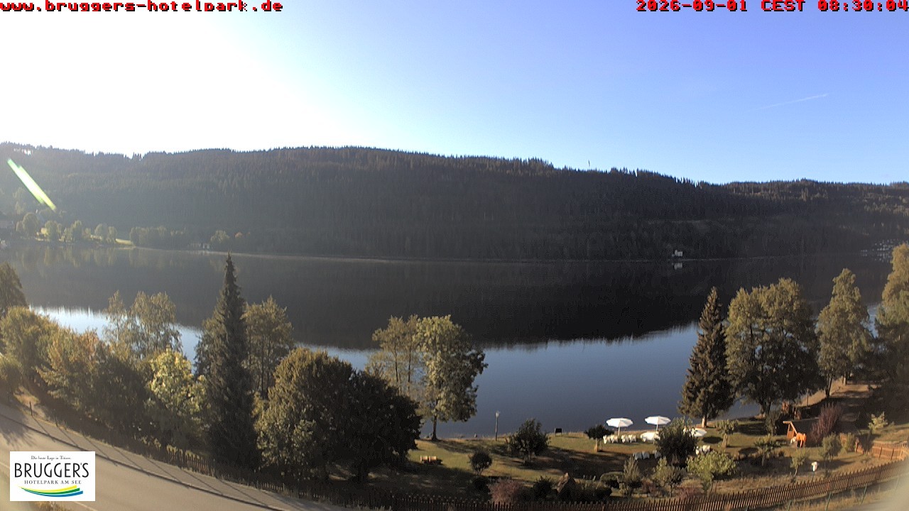 Archived image Webcam Titisee (Black Forest)