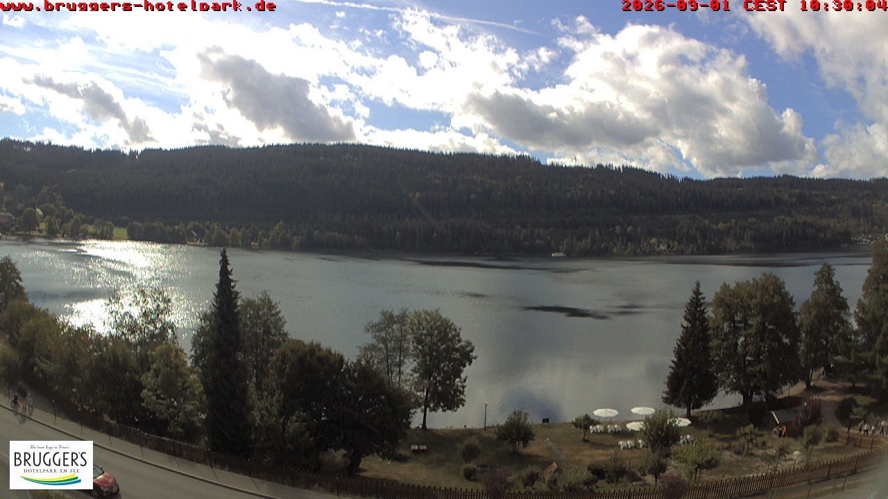Archived image Webcam Titisee (Black Forest)